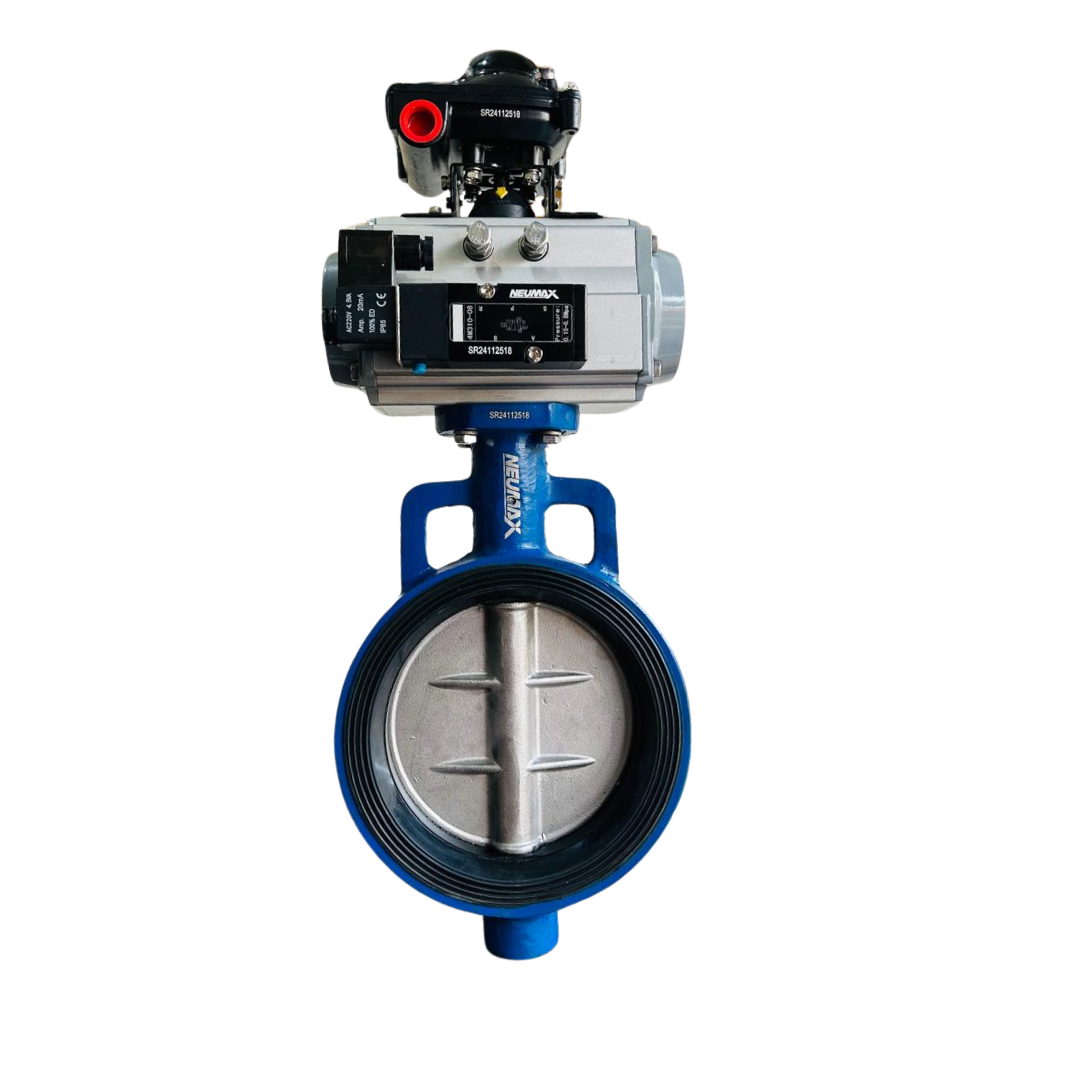Butterfly Valve with Pneumatic Actuator