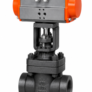 Globe Valve